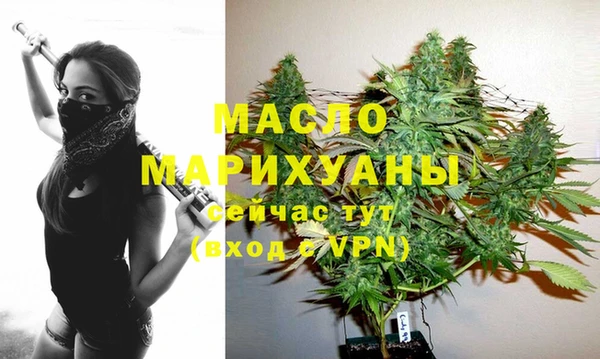 spice Богородицк