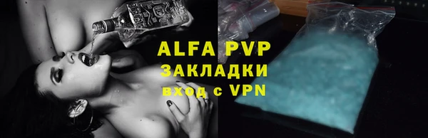 ГАЛЛЮЦИНОГЕННЫЕ ГРИБЫ Белокуриха
