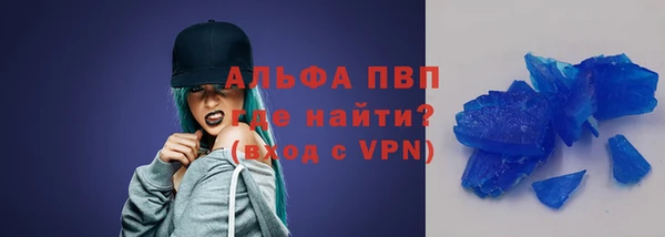 spice Богородицк