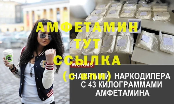 ГАЛЛЮЦИНОГЕННЫЕ ГРИБЫ Белокуриха