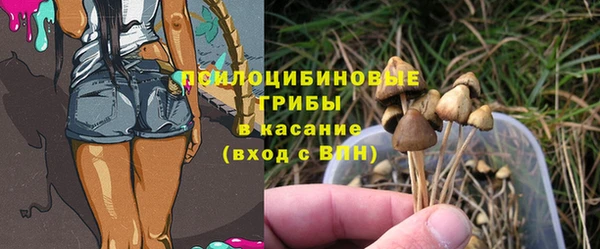ГАЛЛЮЦИНОГЕННЫЕ ГРИБЫ Бронницы