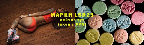 винт Богданович