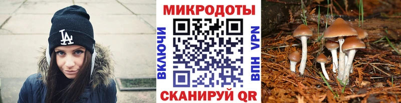 продажа наркотиков  KRAKEN ССЫЛКА  Псилоцибиновые грибы Cubensis  Балахна 